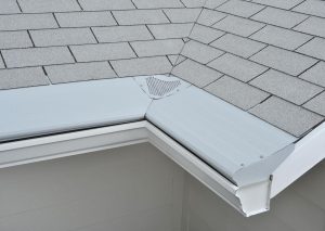 A gutter protected with a Gutter Helmet system